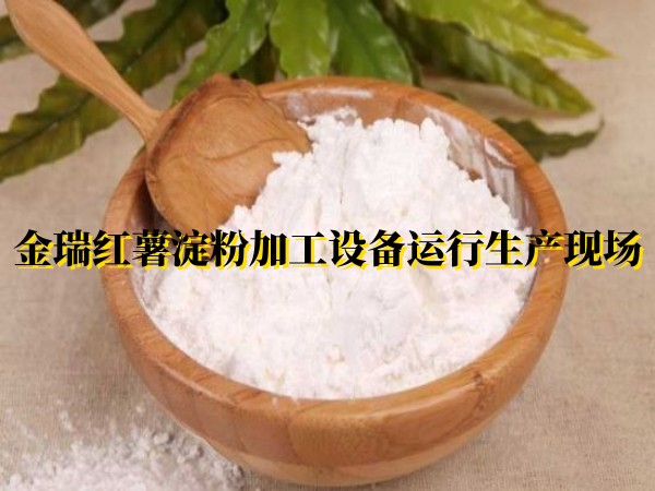 金瑞紅薯淀粉加工設備運行生產(chǎn)現(xiàn)場